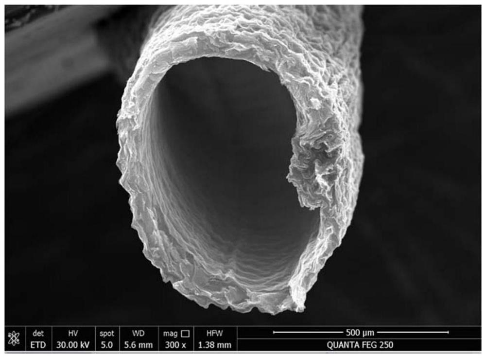 Graphene aerogel hollow fiber, its preparation method and application