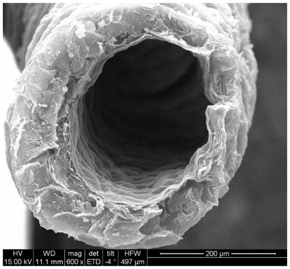 Graphene aerogel hollow fiber, its preparation method and application