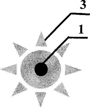 Manufacture method of metal micro-nano structure for improving Raman scattering of molecule