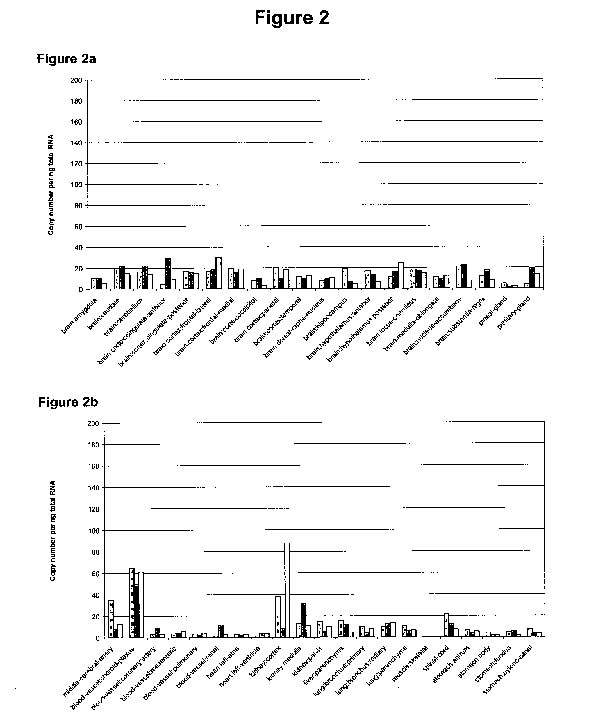 Pta089 protein