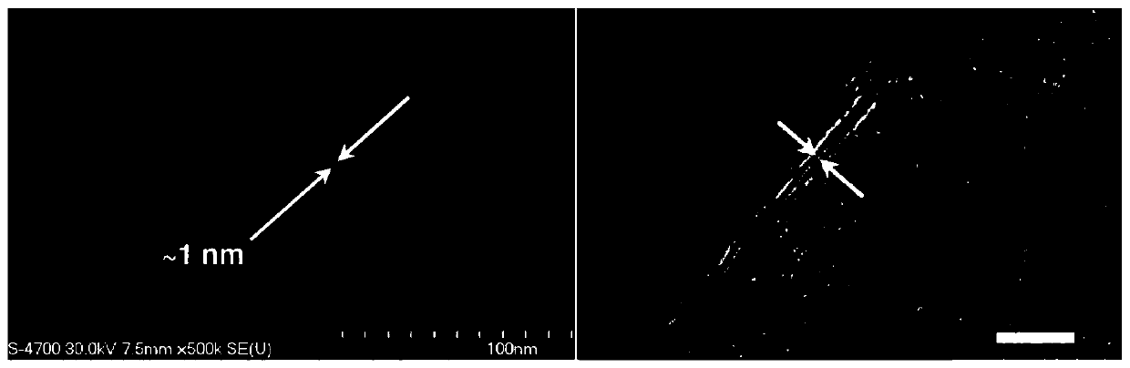 Upright few-layer graphene-metal nanoparticle composite catalytic electrode