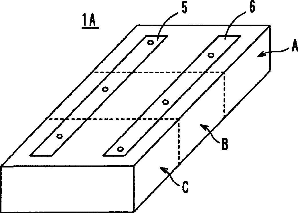 Information terminal