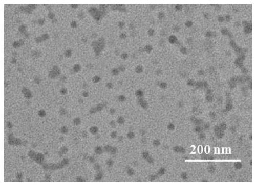 PH-responsive block copolymer, nano particle, preparation method and drug