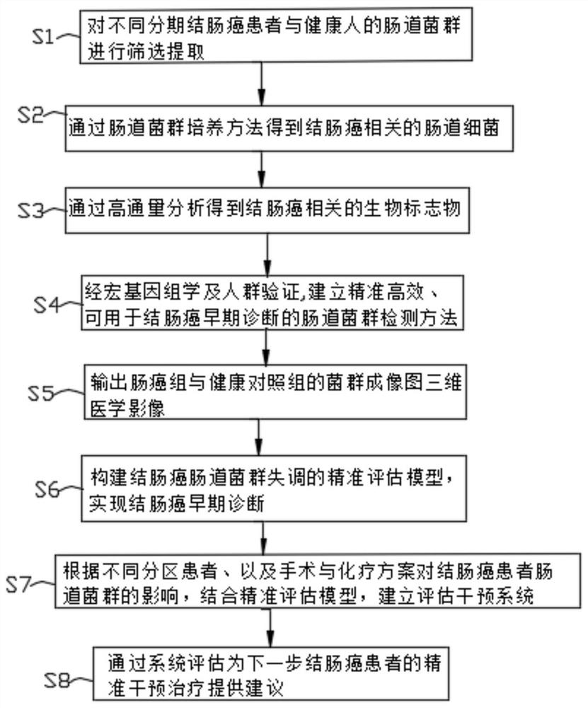 Colon cancer intestinal microecology accurate detection, evaluation and intervention system and method