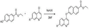 Naphthlamide derivative used as protein kinase inhibitor and histone deacetylase inhibitor and preparation method of naphthlamide derivative