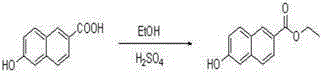 Naphthlamide derivative used as protein kinase inhibitor and histone deacetylase inhibitor and preparation method of naphthlamide derivative