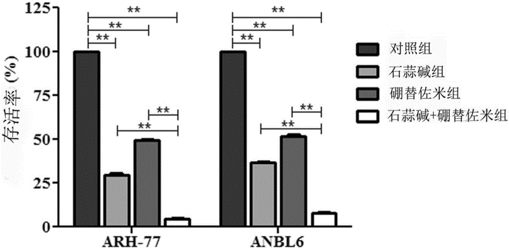 New application for lycorine and bortezomib composition medicine