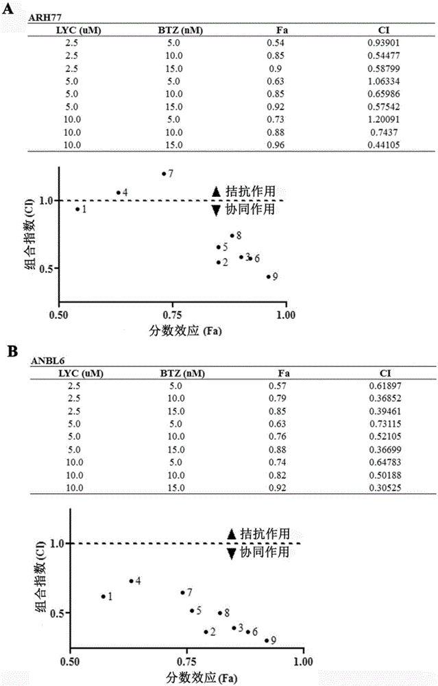 New application for lycorine and bortezomib composition medicine