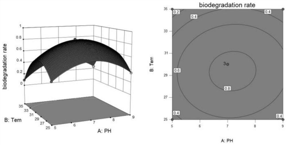 Degrading strain for bifenthrin insecticides and application thereof