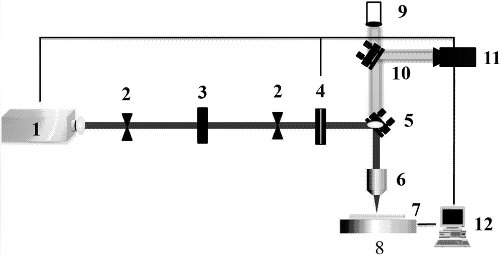 Maskless femtosecond laser manufacturing method for super-hydrophobic and anti-reflective surface