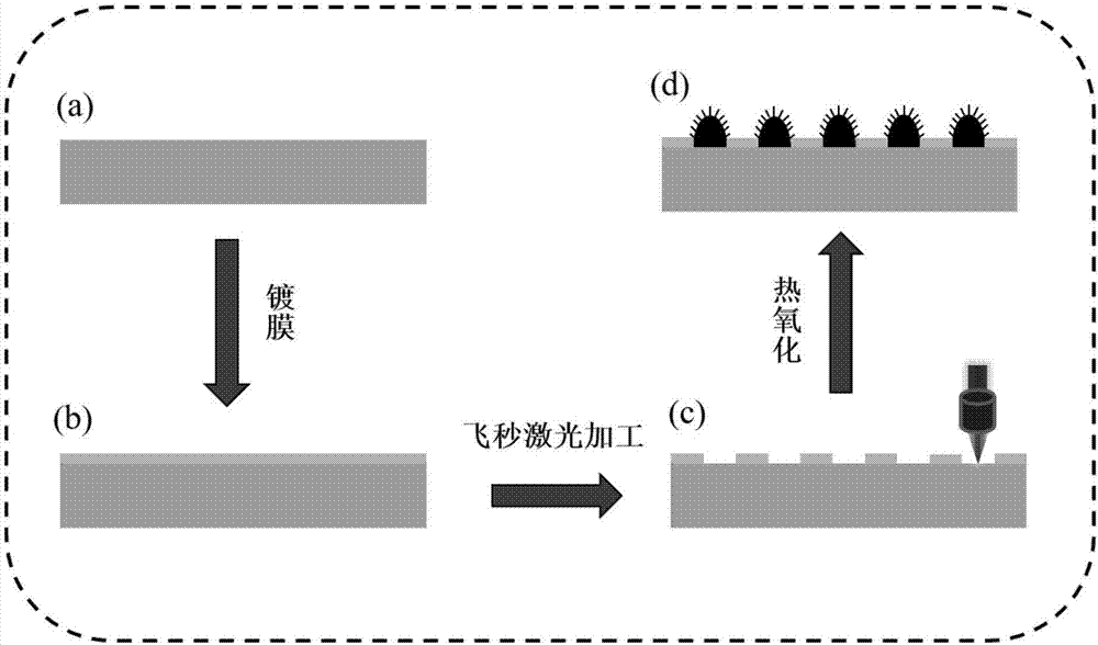 Maskless femtosecond laser manufacturing method for super-hydrophobic and anti-reflective surface