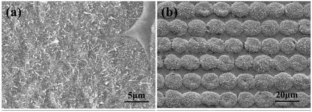 Maskless femtosecond laser manufacturing method for super-hydrophobic and anti-reflective surface