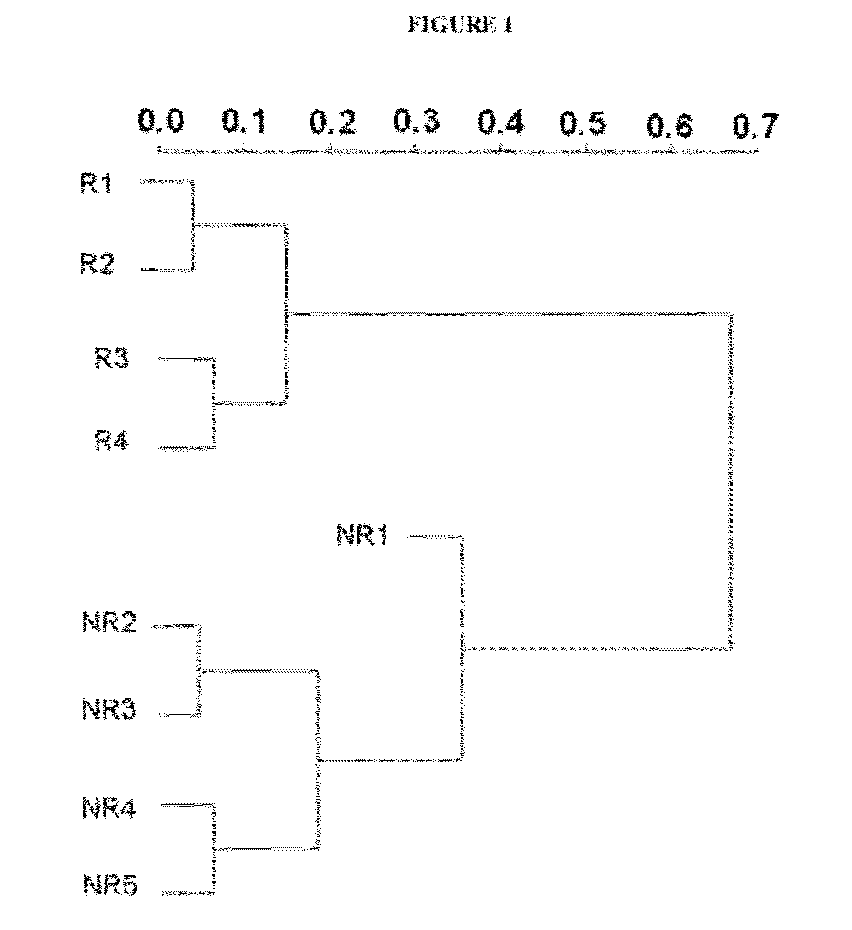 Vitro method for the prognosis or prediction of the response in patients with rheumatoid arthritis treated with agents that recognize the cd20 membrane receptor in b lymphocytes