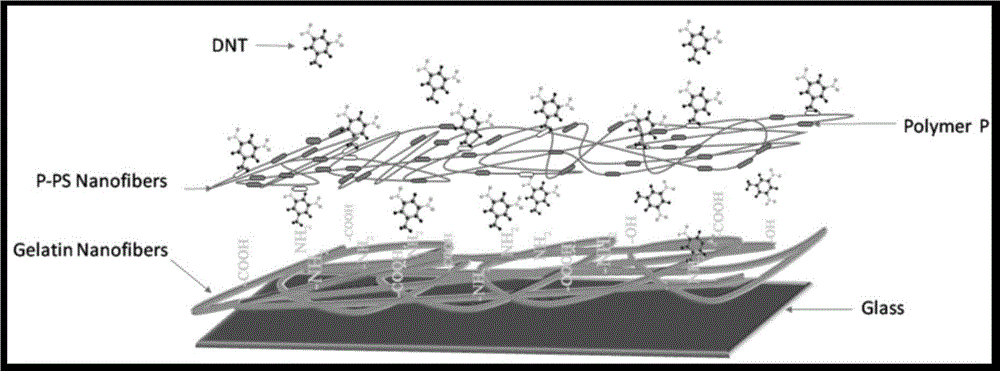 Double-layered electrostatic spinning film sensor for detecting nitryl explosives