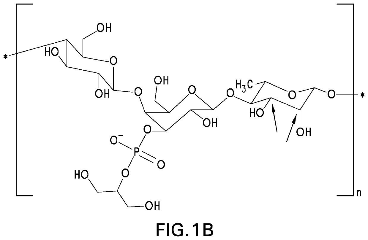 Pneumococcal polysaccharides and their use in immunogenic polysaccharide-carrier protein conjugates