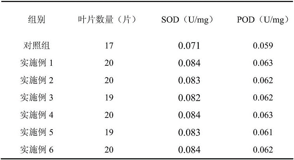 Nutrient soil for promoting succulent plant growth and preparation method thereof