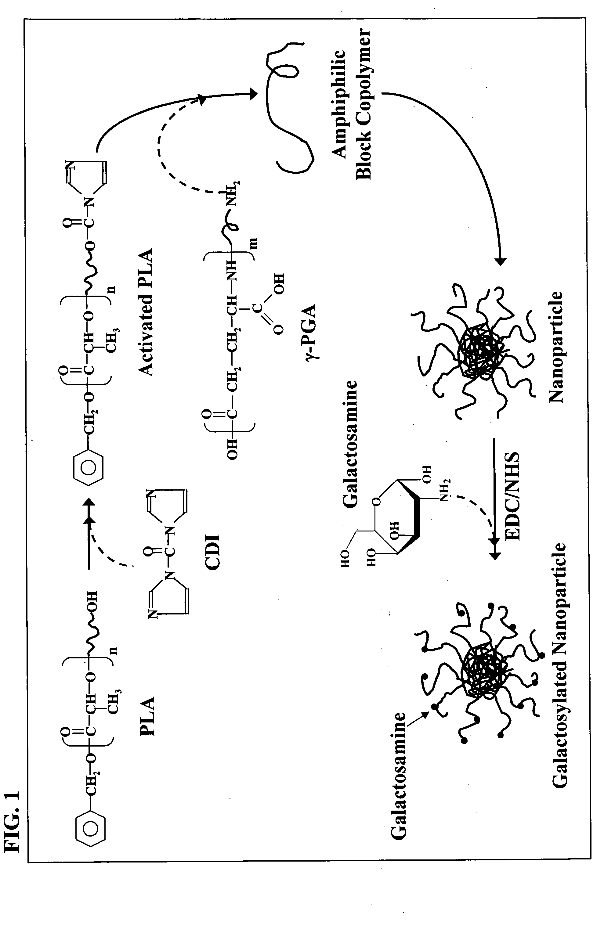 Nanoparticles for targeting hepatoma cells