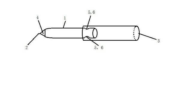 Pocket-size ball pen