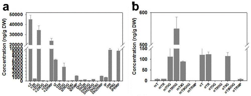 Growth regulator capable of regulating growth and other functions of microalgae, and verification method and application thereof