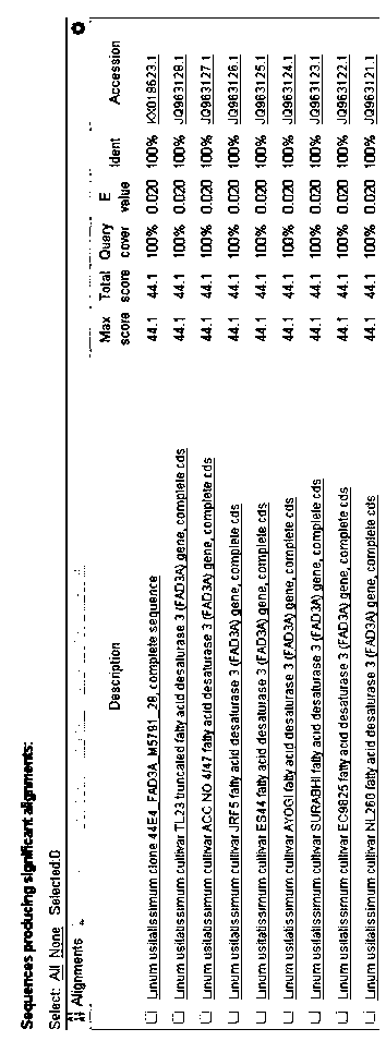 Specific primers and probe for detecting flax DNA and real-time fluorescence quantitative PCR kit