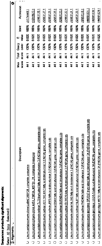 Specific primers and probe for detecting flax DNA and real-time fluorescence quantitative PCR kit