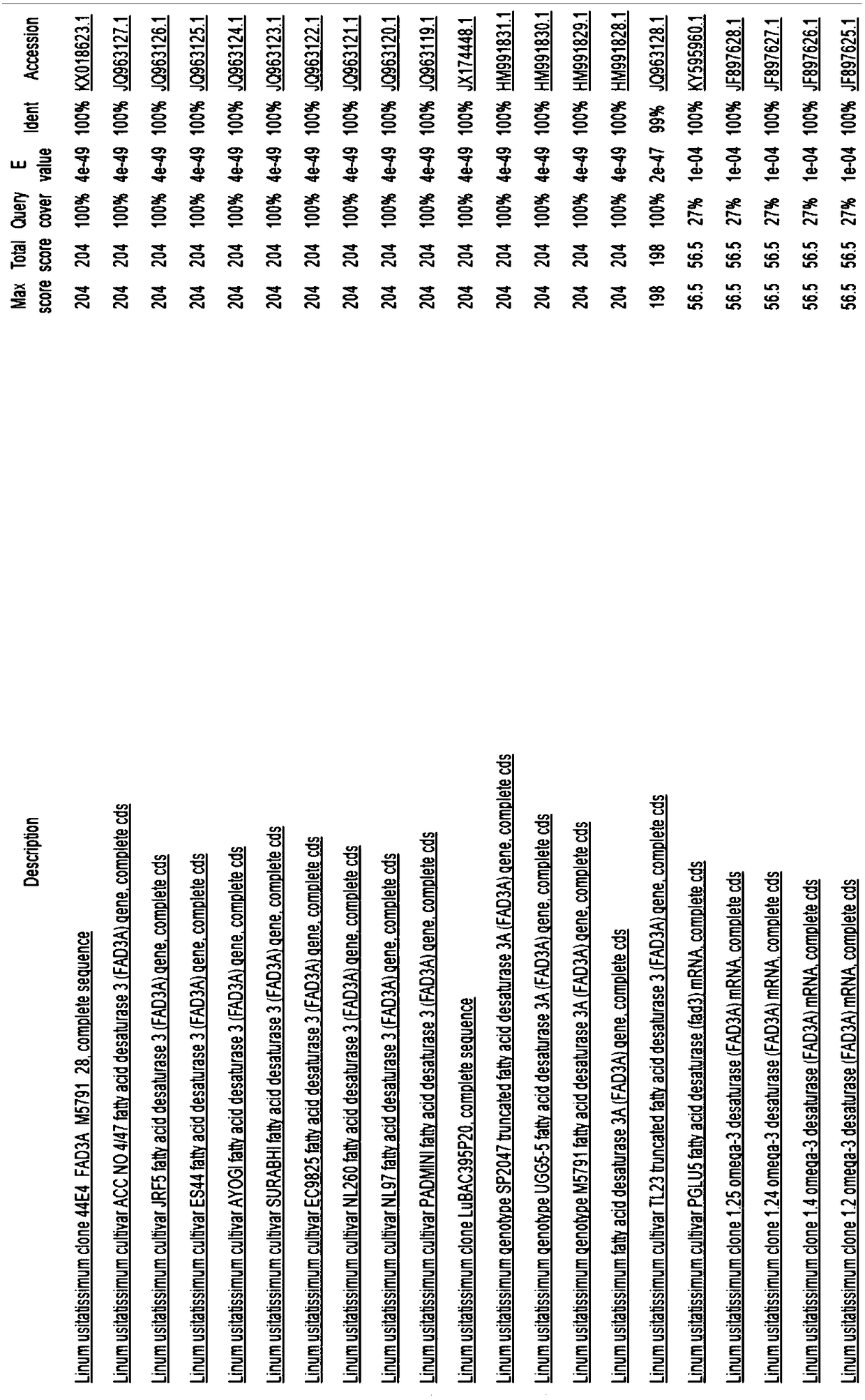 Specific primers and probe for detecting flax DNA and real-time fluorescence quantitative PCR kit