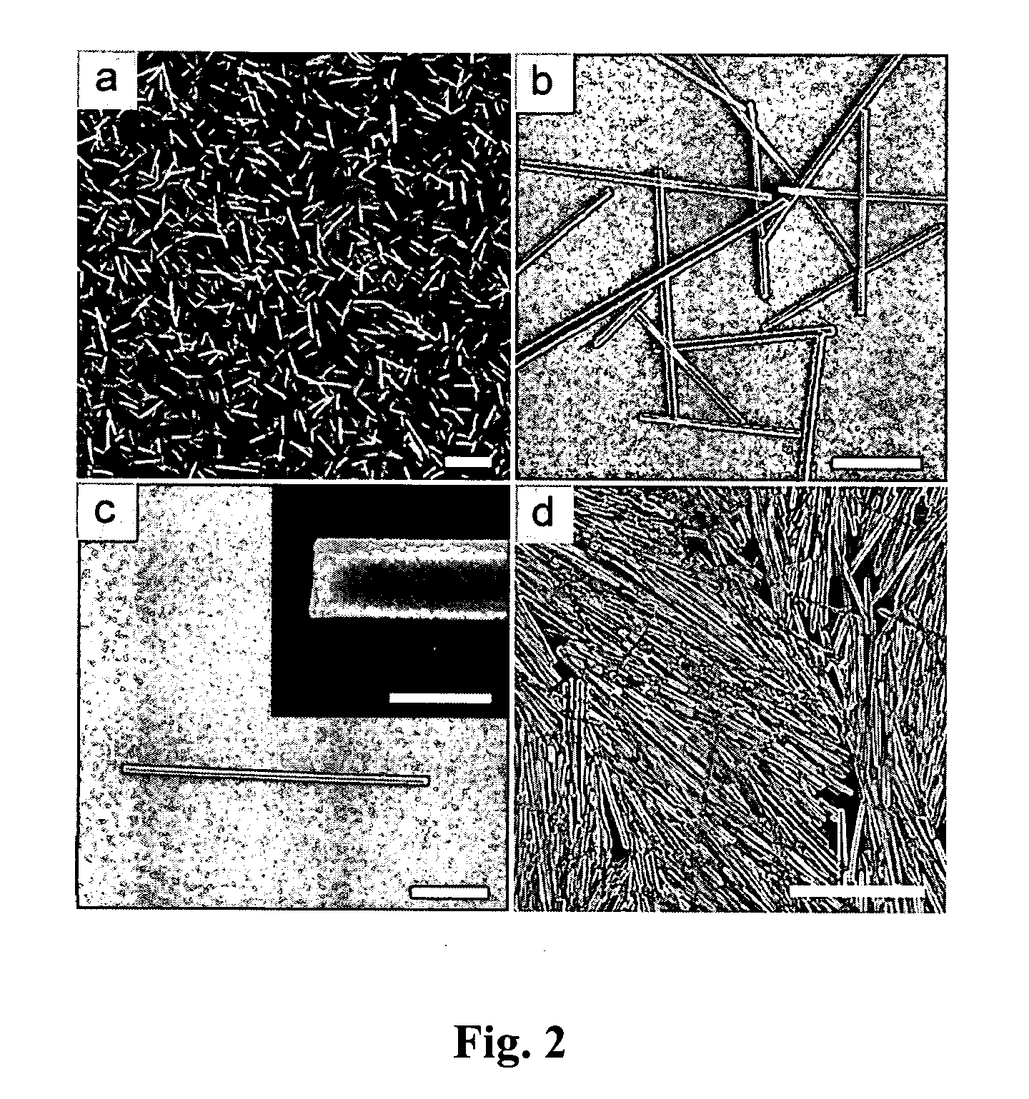 Process for preparing microrods using liquid-liquid dispersion