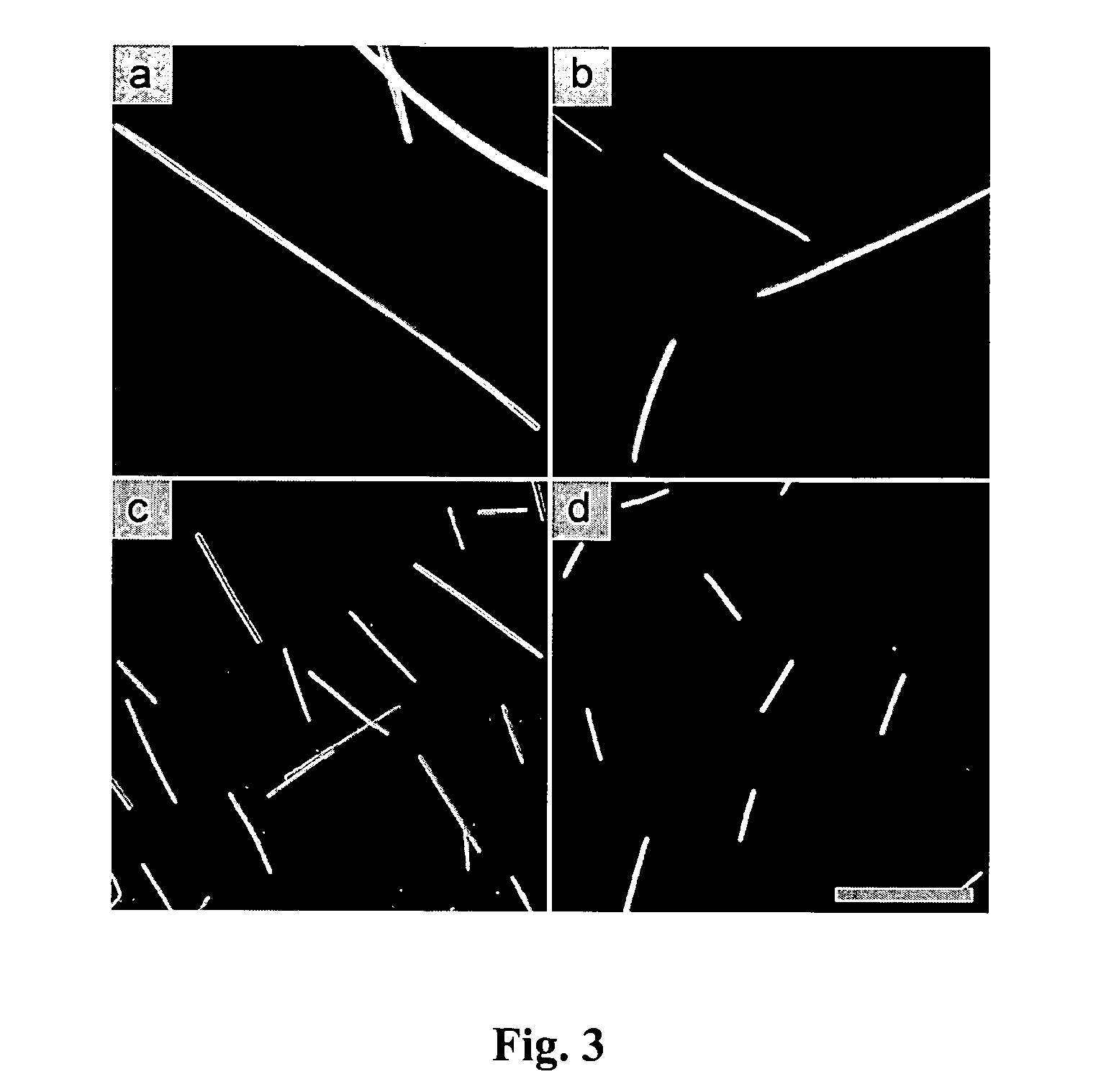 Process for preparing microrods using liquid-liquid dispersion