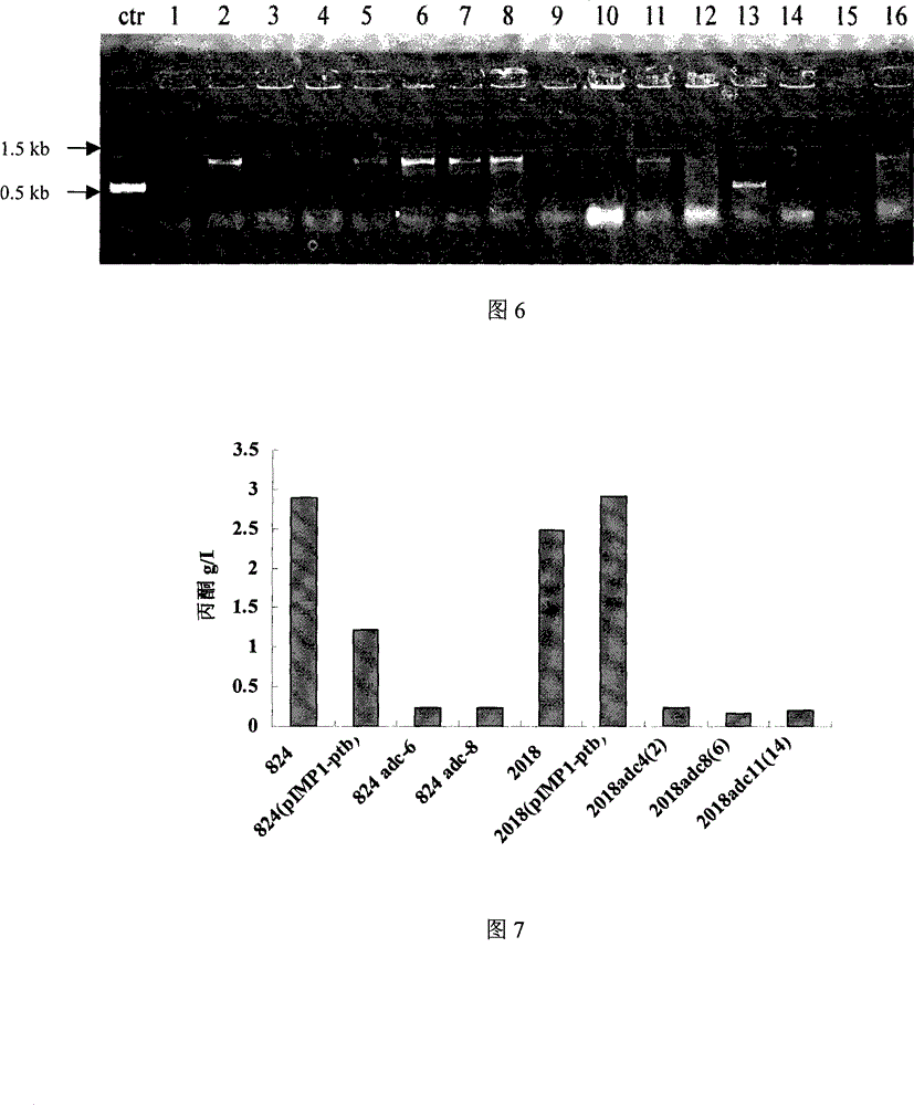 Method for improving ratio of butanol produced from clostridium