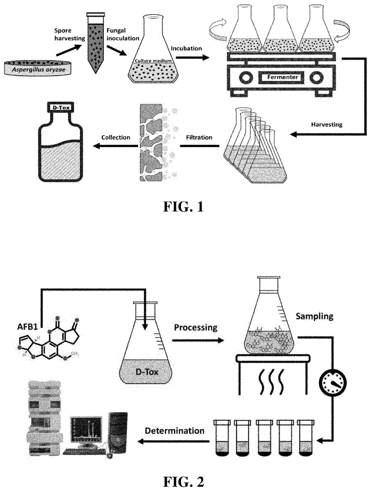 Composition for degradation of aflatoxin comprising aspergillus culture filtrate as effective component and uses thereof