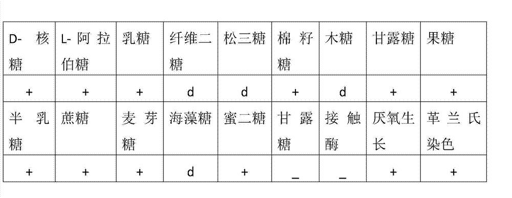 Antioxidative animal bifidobacterium and applications thereof