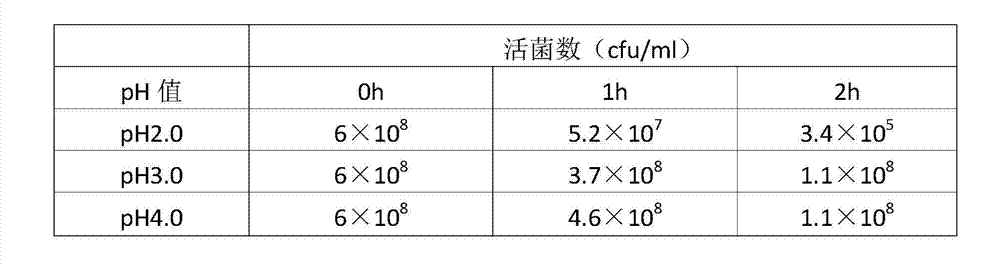 Antioxidative animal bifidobacterium and applications thereof