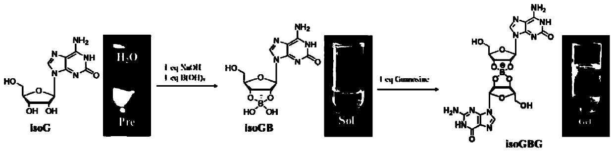 Bifunctional nucleoside hydrogel and preparation method and application thereof