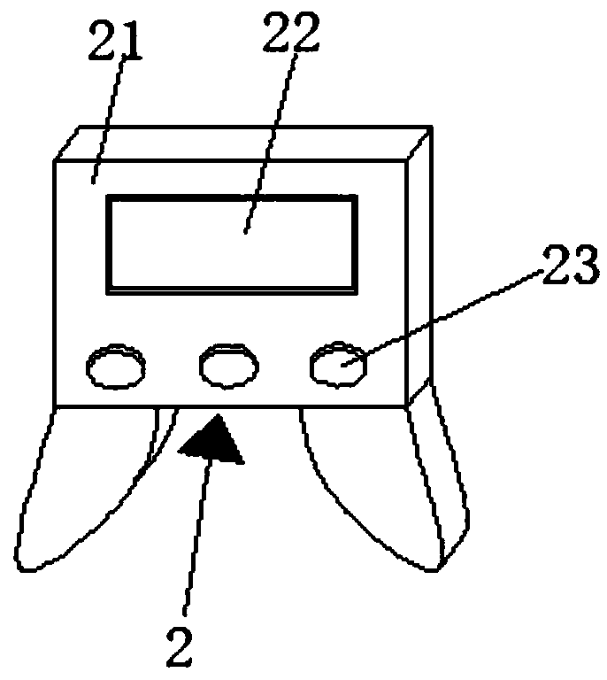 Coagulant feeding device for swimming pools