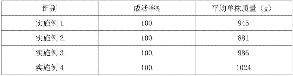 Nutrient soil for cultivation of succulent plants and preparation method of nutrient soil