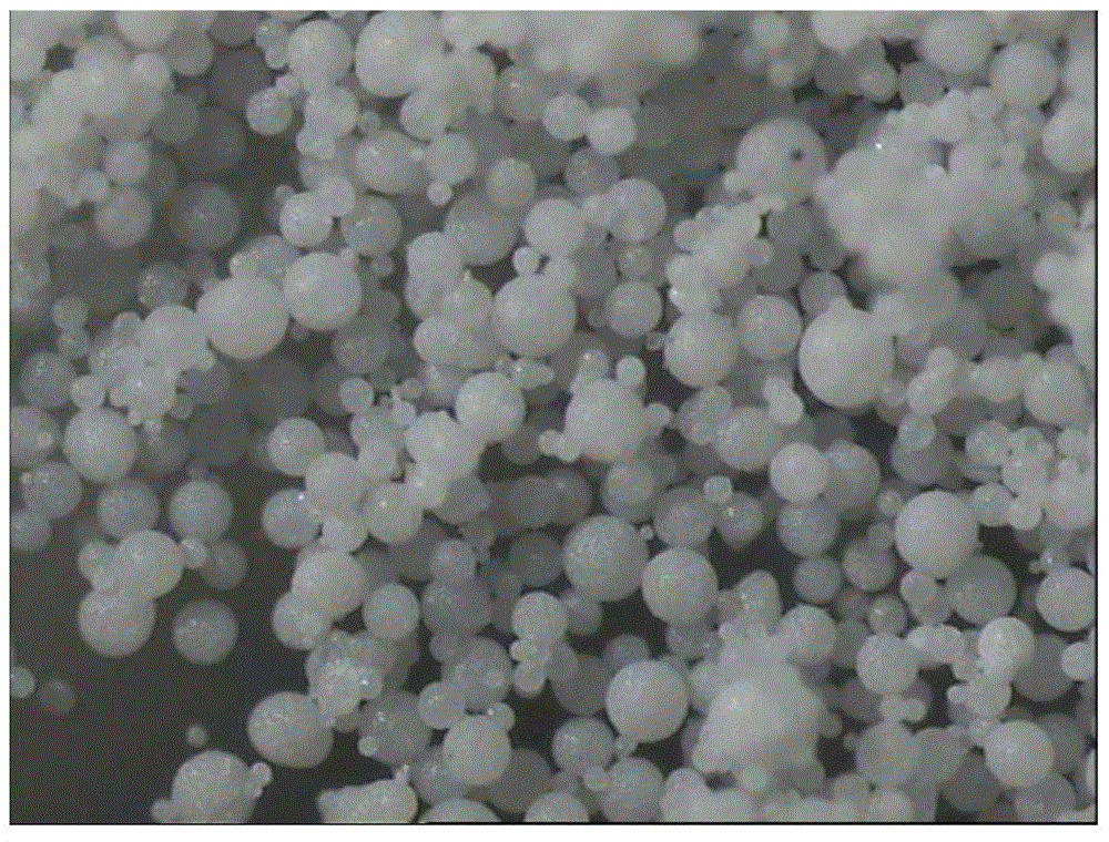 Catalyst component used for olefin polymerization and preparation method thereof and catalyst used for olefin polymerization and application