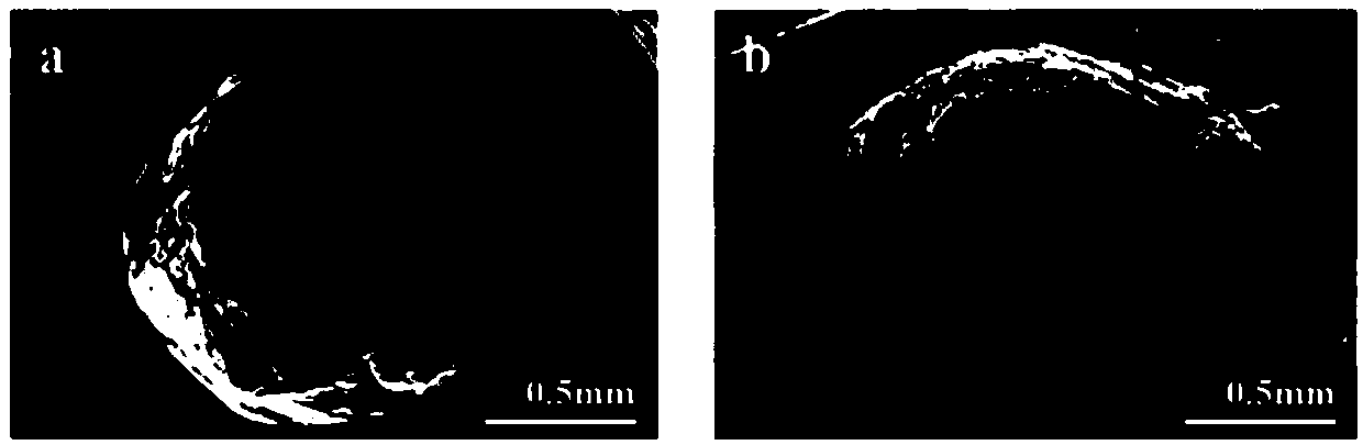 Polyimide/carbon nano-tube (PI/CNT) electromagnetic shielding composite material with isolation structure