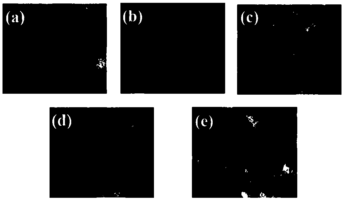 Polyimide/carbon nano-tube (PI/CNT) electromagnetic shielding composite material with isolation structure