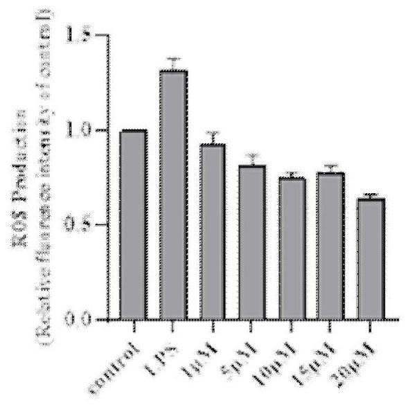 1, 2, 4-oxadiazole Nrf2 activator-tacrine spliced product as well as preparation method and application thereof