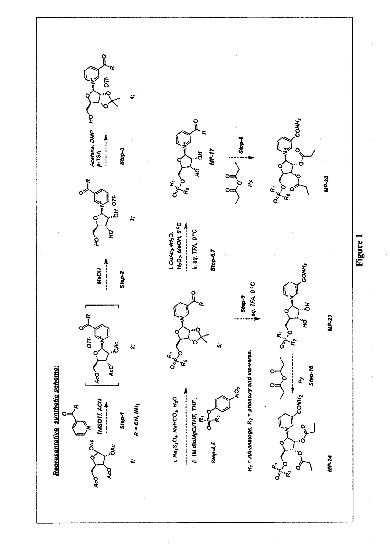 Nicotinamide riboside derivatives and their uses