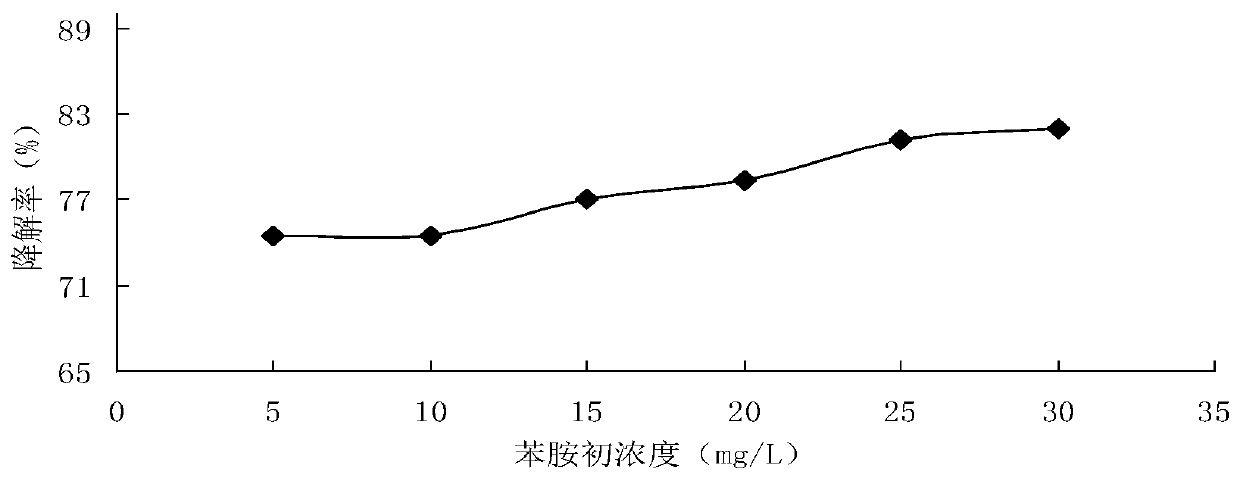 Method for treating organic matter sewage through cooperation of ionic liquid and hydrogen peroxide