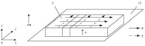 Securities microwave processing device based on transverse waves