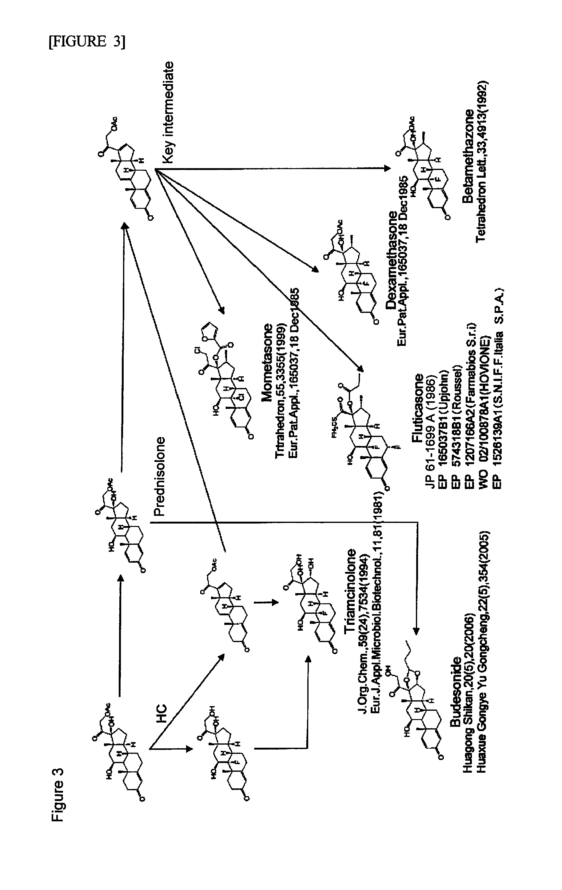 Sterol side chain-cleaving enzyme protein and use thereof