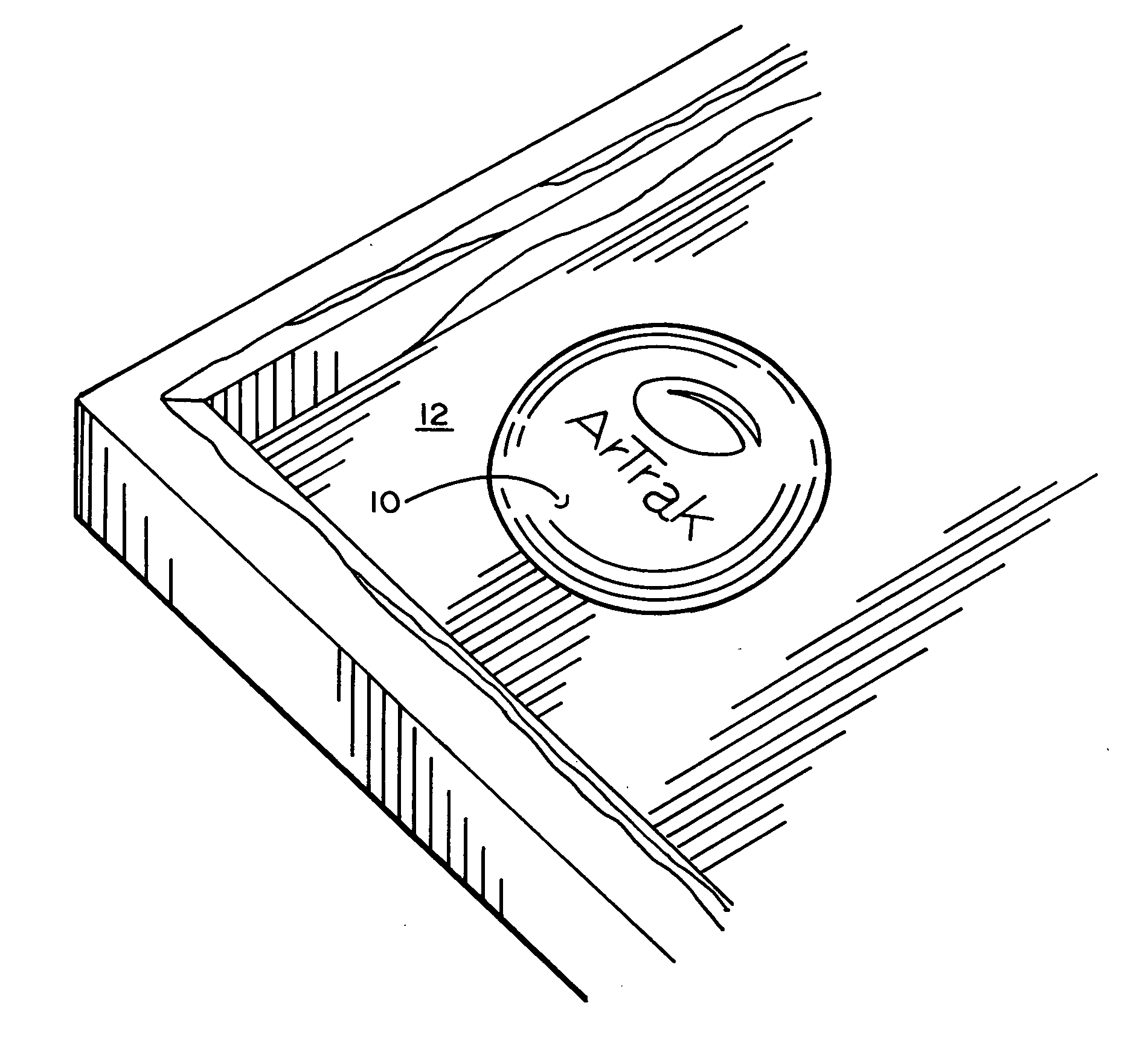 Apparatus and method for fine art authentication