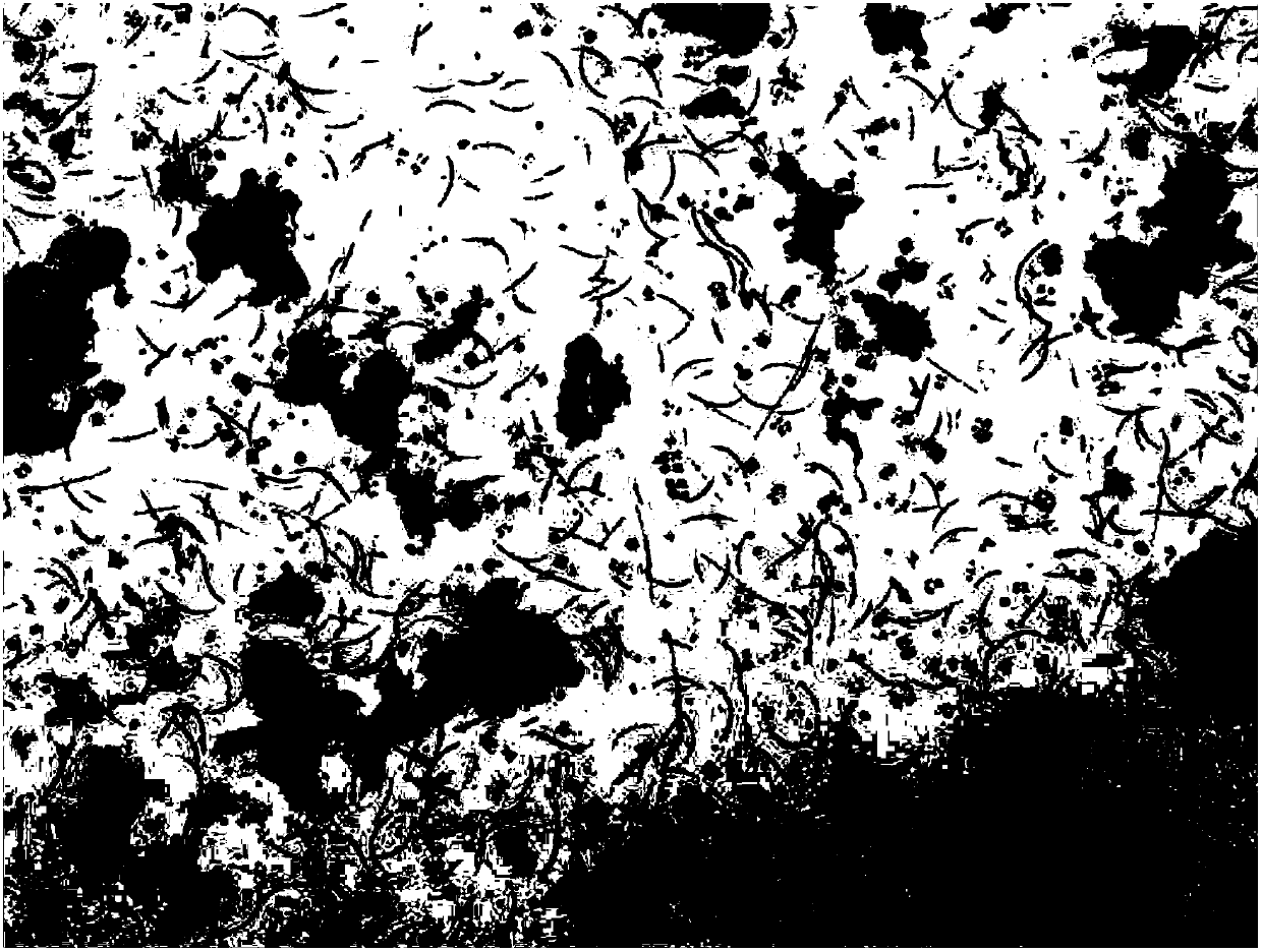 Method for culturing phytoplankton with predominant chlorophyta