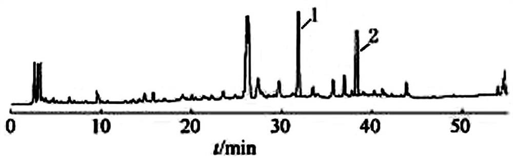 Oridonin callus culture medium with increased content of oridonin and rosmarinic acid