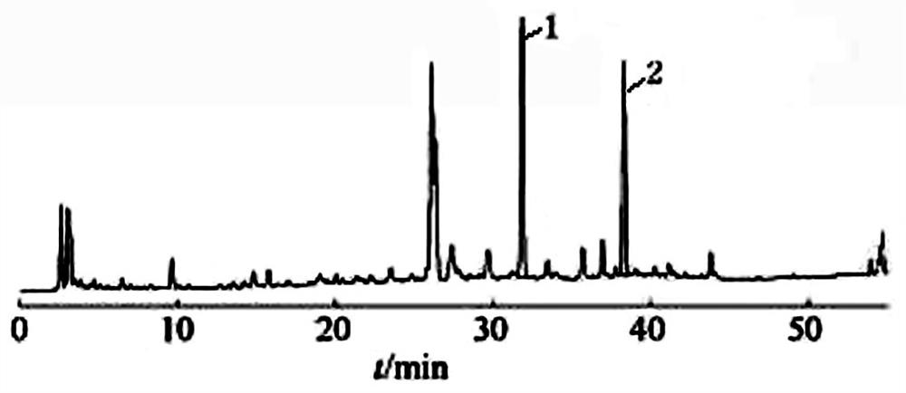 Oridonin callus culture medium with increased content of oridonin and rosmarinic acid