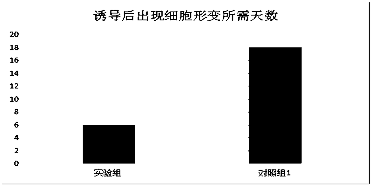 Fibroblast culture medium and preparation method thereof