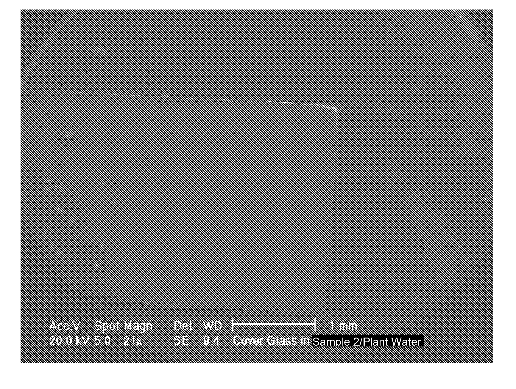 Methods for prevention and reduction of scale formation