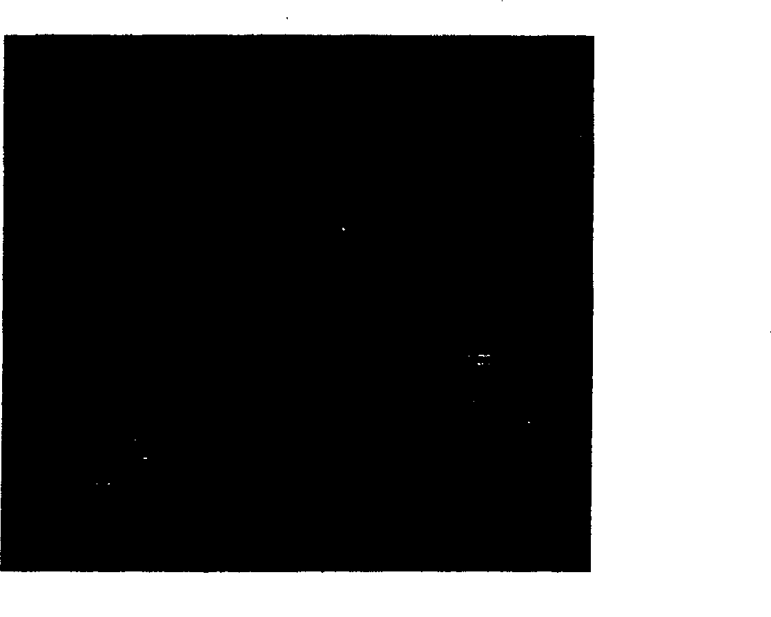 Application of 4-de-dimethyltetracycline derivative